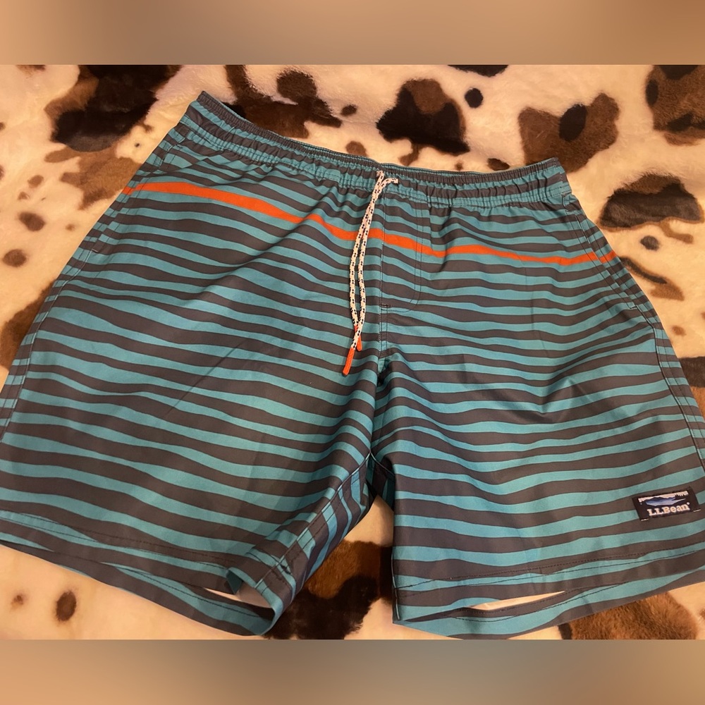 LL Bean Swim Trunks